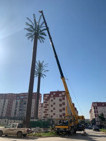 Xcmg 50 T Location Grue mobile