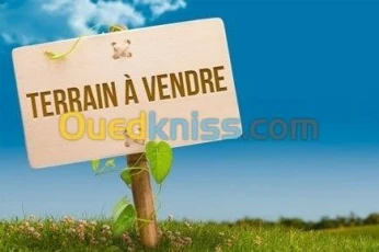 Vente Terrain Guelma Guelma