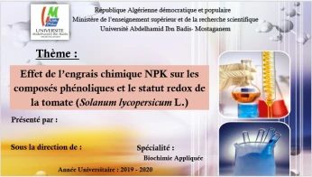 Conception de présentation powerpoint