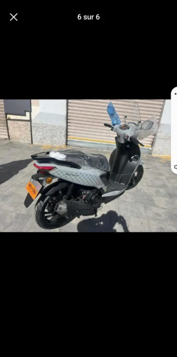 VMS CORAL 2024