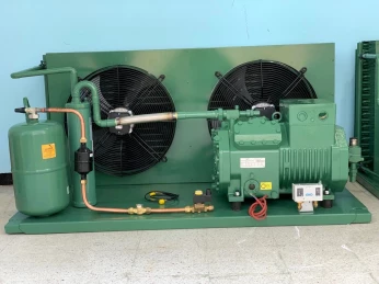 Groupe Bitzer 18 cv negative positive