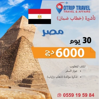 E-Visa Egypte Touristique تأشيرة مصر الإلكترونية السياحية (خطاب ضمان أمني)