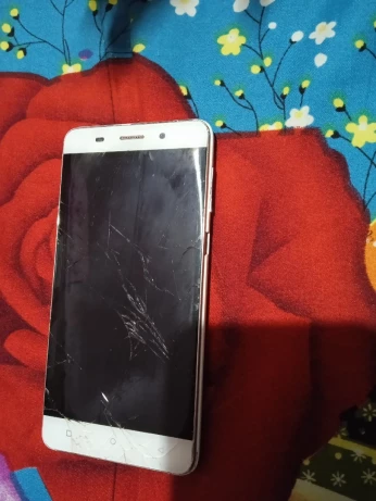 P6 pro Condor