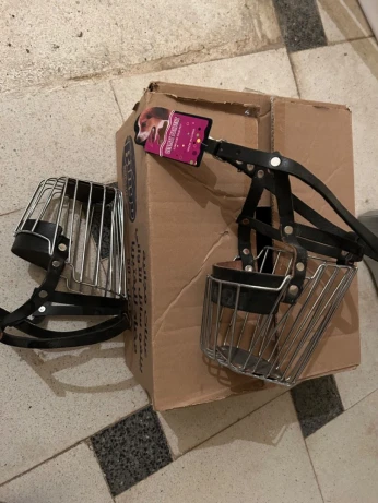 Accessoire pour chien