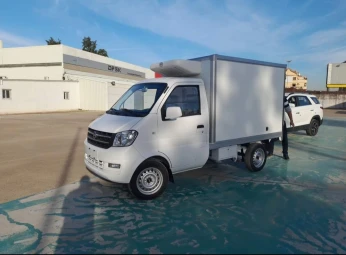 DFSK Frigo 2024 P latérale