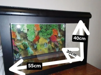 Aquarium