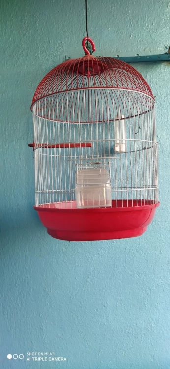 Cage pour peruche