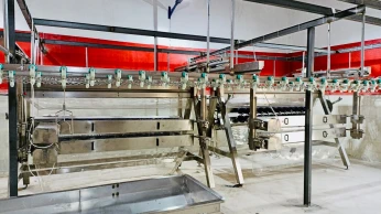 Abattoir de volaille مذبح دواجن