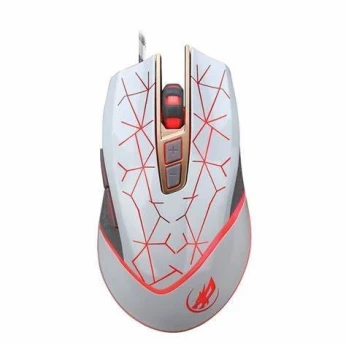 SOURIS ADR 2029