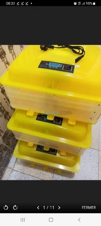 incubateur, Couveuse, حاضنة بيض، فقاسة