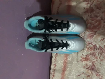 سولي