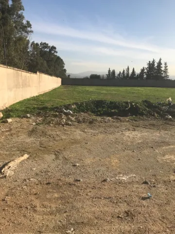 Location Terrain Boumerdes Hammedi