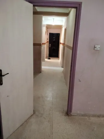Vente Appartement F4 Chlef Chlef 6