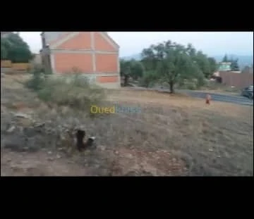 Vente Terrain Bouira Chorfa 2
