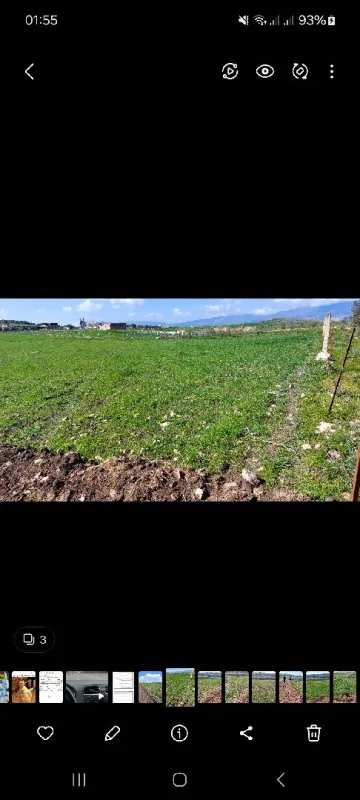 Vente Terrain Mila Sidi merouane