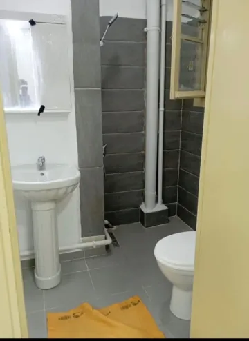 Location Appartement Studio Alger Alger centre 2