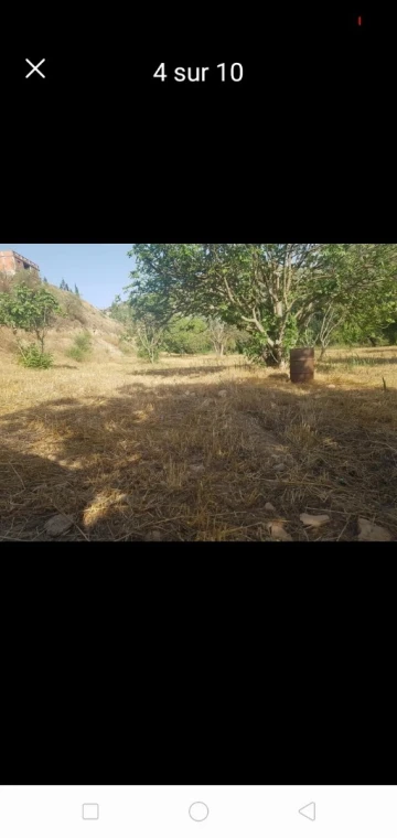 Vente Terrain Agricole Setif Hammam guergour 11