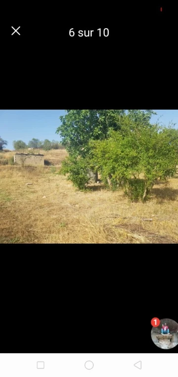 Vente Terrain Agricole Setif Hammam guergour 3