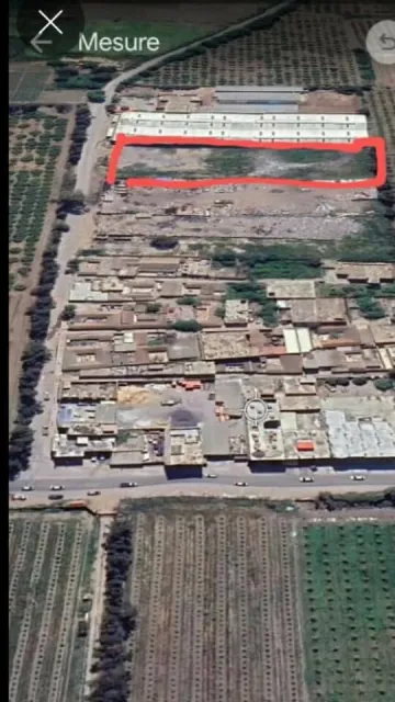 Vente Terrain Alger Ouled fayet