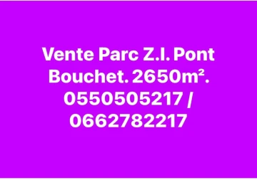 Vente Hangar Annaba Annaba