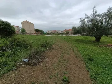 Vente Terrain Tizi Ouzou Mekla 4