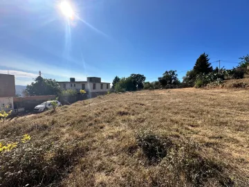 Vente Terrain Boumerdès Thenia 6