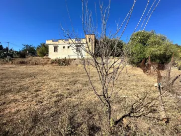 Vente Terrain Boumerdès Thenia 3