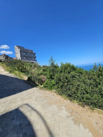 Vente Terrain El Tarf El kala 8