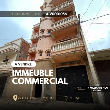 Vente Immeuble Oran Ain el turck