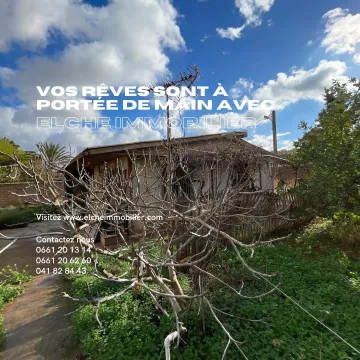 Vente Terrain Oran Oran