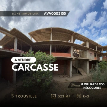 Vente Carcasse Oran Ain el turck 3