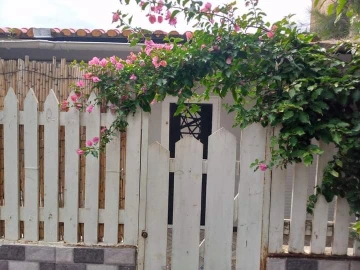 Location vacances Bungalow Boumerdès Boumerdes 9