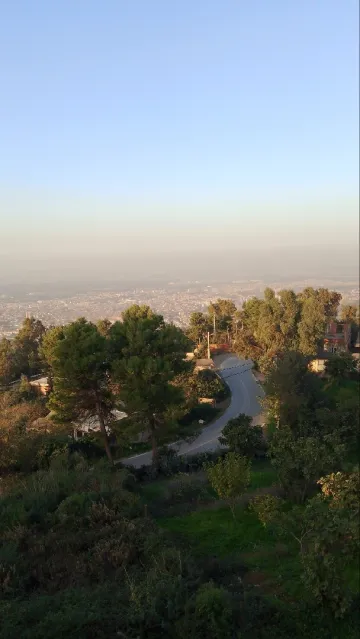 Location Local Blida Chrea 5