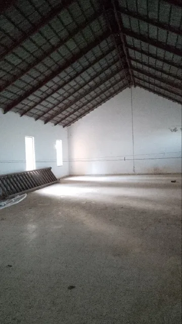 Location Local Blida Chrea 10