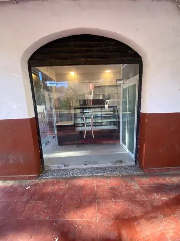 Location Local Alger Zeralda 10