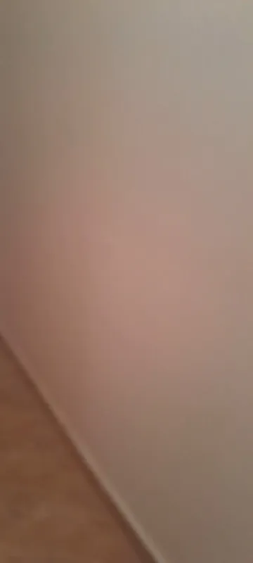 Location Appartement Blida Bouinan 2