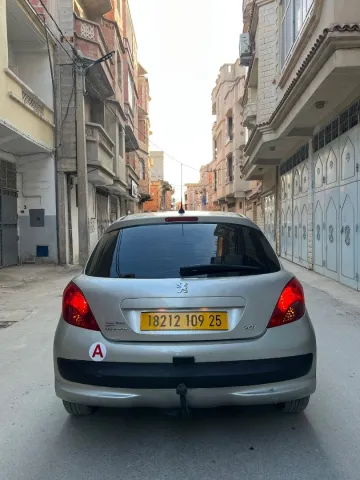 Peugeot 207 2009 207 3