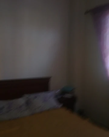 Vente Villa Alger Bab el oued 10