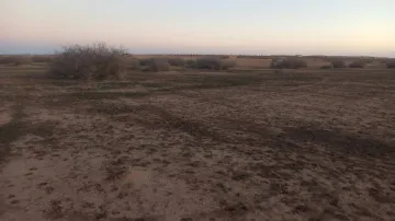 Vente Terrain Agricole Djelfa Ain oussara 9