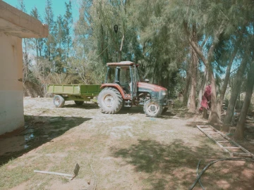 Vente Terrain Agricole Djelfa Djelfa 19