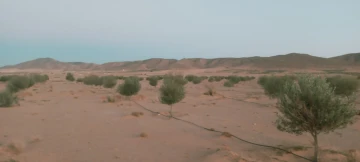 Vente Terrain Agricole Djelfa Djelfa