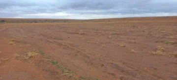 Vente Terrain Agricole Djelfa Ain oussara 9