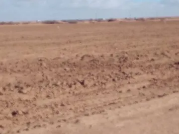 Vente Terrain Agricole Djelfa Ain oussara 19