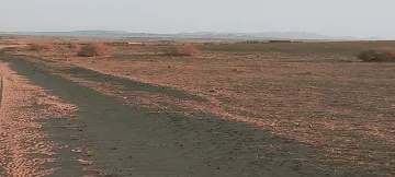 Vente Terrain Agricole Djelfa Birine 4