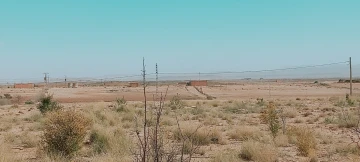 Vente Terrain Agricole Djelfa Djelfa