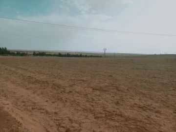 Vente Terrain Agricole Djelfa Djelfa 6