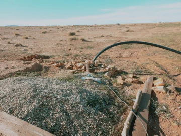 Vente Terrain Agricole Djelfa Djelfa 2