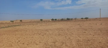 Vente Terrain Agricole Djelfa Mouadjebar