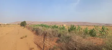 Vente Terrain Agricole Djelfa Ain oussara 24