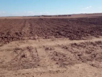 Vente Terrain Agricole Djelfa Ain oussara 13